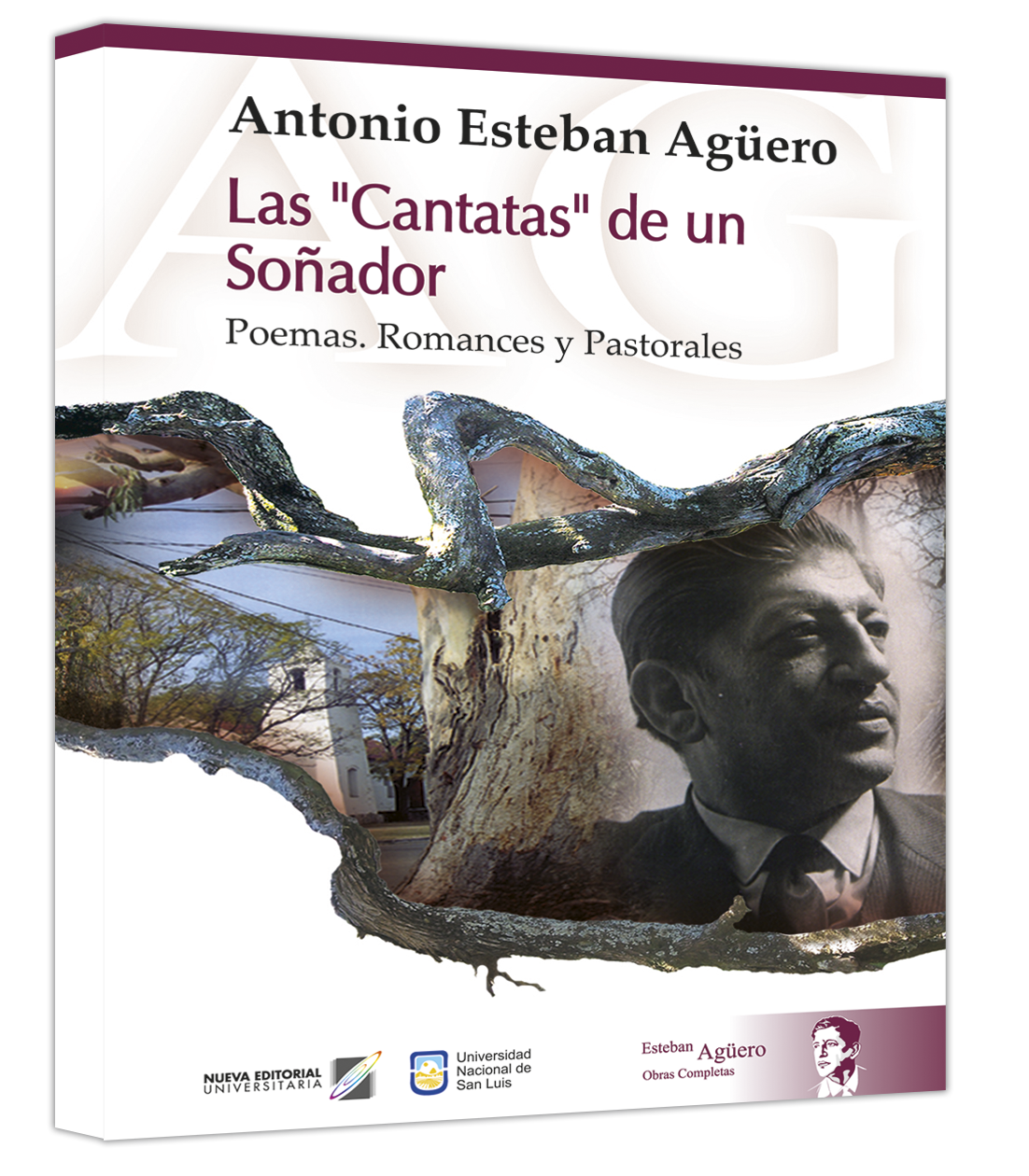 Las Cantatas de un Soñador